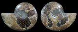 Polished Ammonite Pair - Agatized #51758-1